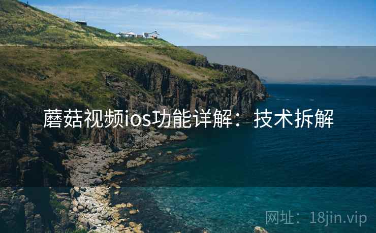蘑菇视频ios功能详解：技术拆解