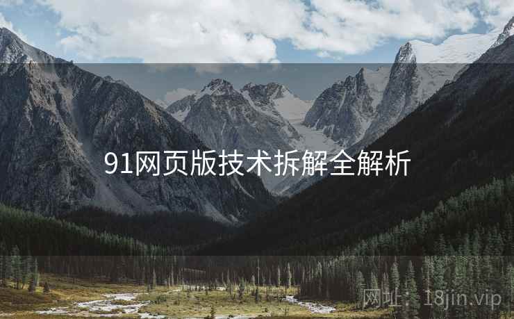 91网页版技术拆解全解析