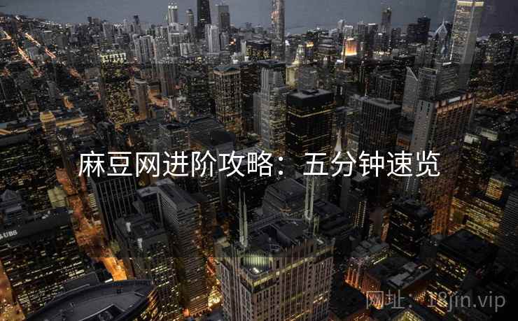 麻豆网进阶攻略：五分钟速览