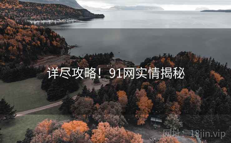 详尽攻略！91网实情揭秘
