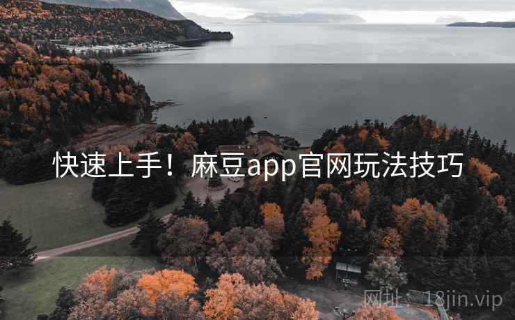 快速上手！麻豆app官网玩法技巧