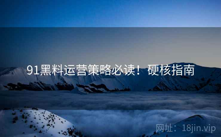 91黑料运营策略必读！硬核指南