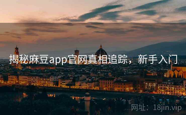 揭秘麻豆app官网真相追踪，新手入门