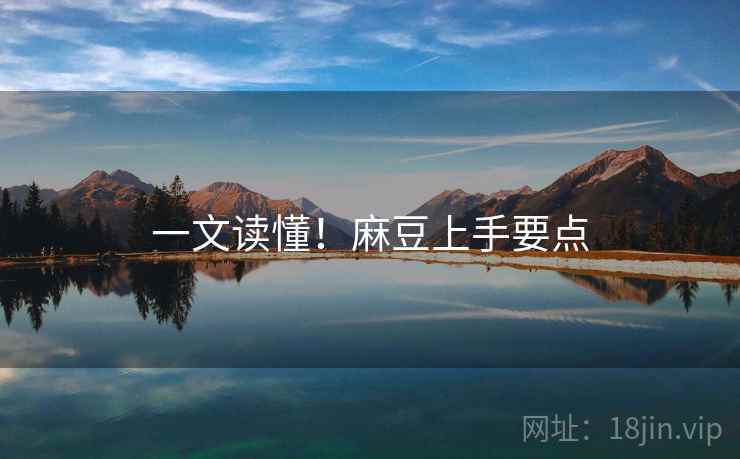 一文读懂！麻豆上手要点