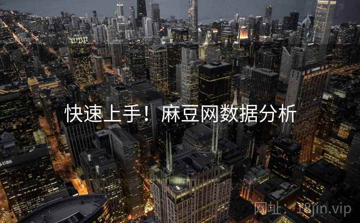 快速上手！麻豆网数据分析