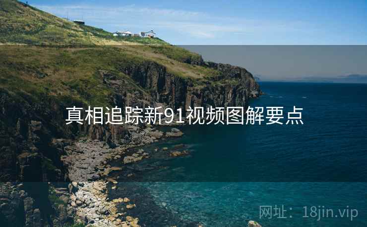 真相追踪新91视频图解要点