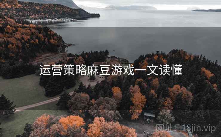 运营策略麻豆游戏一文读懂