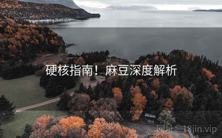硬核指南！麻豆深度解析