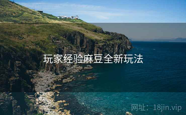 玩家经验麻豆全新玩法