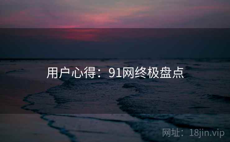 用户心得：91网终极盘点