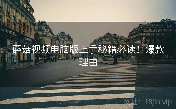 蘑菇视频电脑版上手秘籍必读！爆款理由