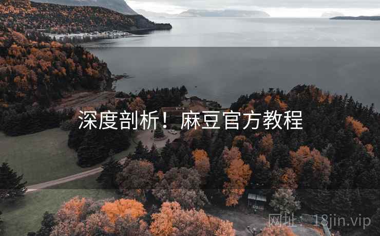 深度剖析！麻豆官方教程