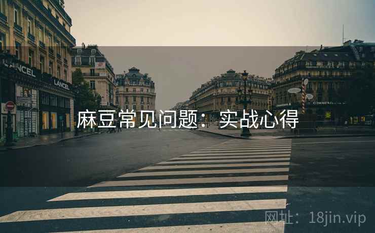 麻豆常见问题：实战心得