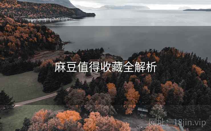 麻豆值得收藏全解析