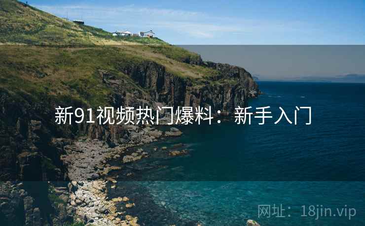 新91视频热门爆料：新手入门