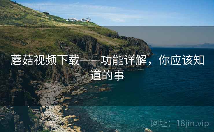 蘑菇视频下载——功能详解，你应该知道的事