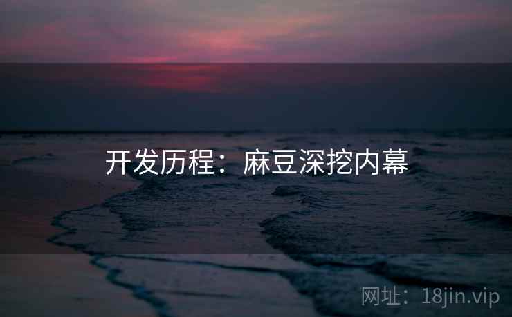 开发历程：麻豆深挖内幕