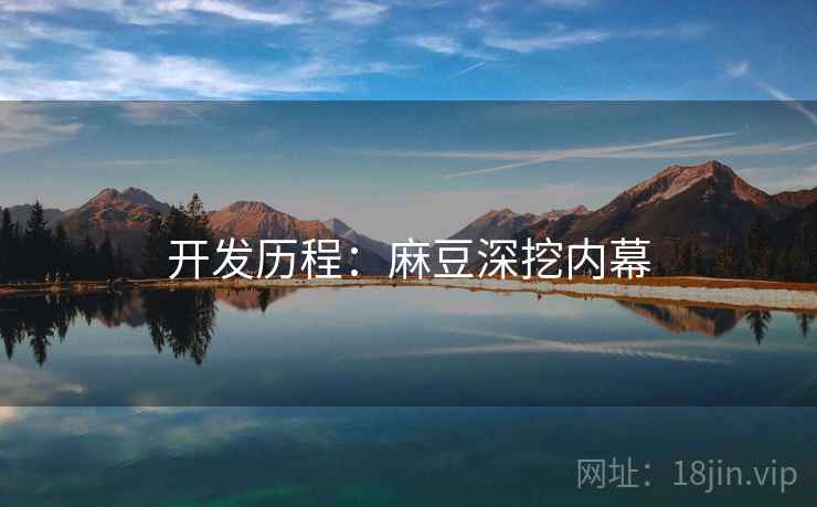 开发历程：麻豆深挖内幕