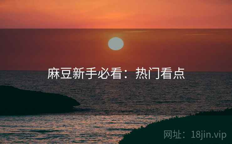 麻豆新手必看：热门看点