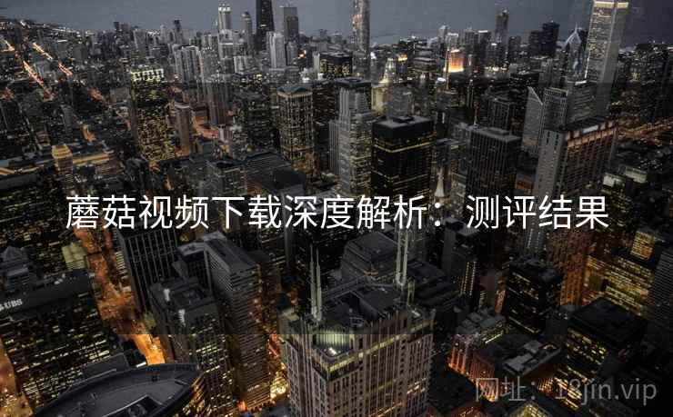 蘑菇视频下载深度解析：测评结果